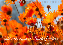 Wildblumen Südafrikas (Tischkalender 2022 DIN A5 quer) von Schütter,  Stefan