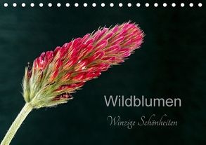 Wildblumen – winzige Schönheiten (Tischkalender 2018 DIN A5 quer) von Spies,  Harald