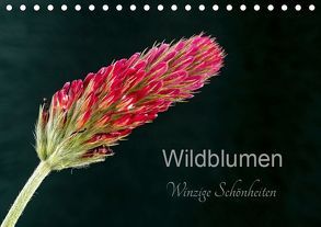 Wildblumen – winzige Schönheiten (Tischkalender 2019 DIN A5 quer) von Spies,  Harald