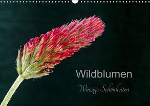 Wildblumen – winzige Schönheiten (Wandkalender 2018 DIN A3 quer) von Spies,  Harald