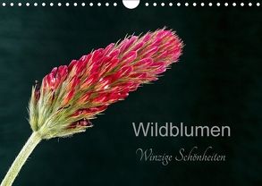 Wildblumen – winzige Schönheiten (Wandkalender 2018 DIN A4 quer) von Spies,  Harald