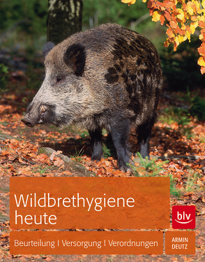 Wildbrethygiene heute von Deutz,  Armin