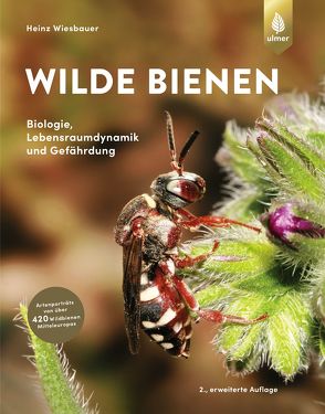 Wilde Bienen von Wiesbauer,  Heinz