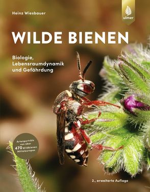 Wilde Bienen von Wiesbauer,  Heinz