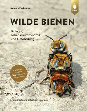 Wilde Bienen von Wiesbauer,  Heinz