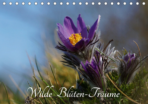 Wilde Blüten-Träume (Tischkalender 2021 DIN A5 quer) von Klapp,  Lutz