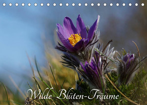 Wilde Blüten-Träume (Tischkalender 2023 DIN A5 quer) von Klapp,  Lutz