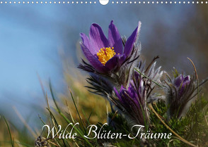 Wilde Blüten-Träume (Wandkalender 2022 DIN A3 quer) von Klapp,  Lutz