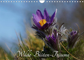 Wilde Blüten-Träume (Wandkalender 2022 DIN A4 quer) von Klapp,  Lutz