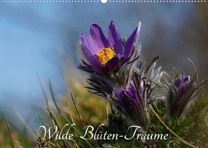 Wilde Blüten-Träume (Wandkalender 2023 DIN A2 quer) von Klapp,  Lutz