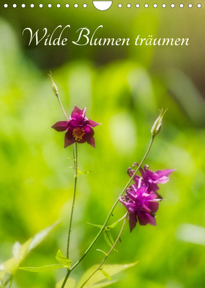 Wilde Blumen träumen (Wandkalender 2022 DIN A4 hoch) von Clemens Stenner,  ©