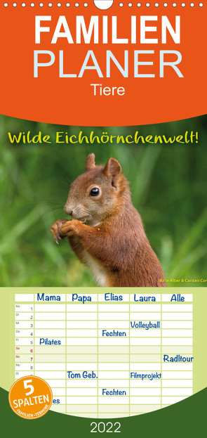 Familienplaner Wilde Eichhörnchenwelt! (Wandkalender 2022 , 21 cm x 45 cm, hoch) von Alber und Carsten Cording,  Birte