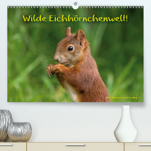 Wilde Eichhörnchenwelt! (Premium, hochwertiger DIN A2 Wandkalender 2021, Kunstdruck in Hochglanz) von Alber und Carsten Cording,  Birte