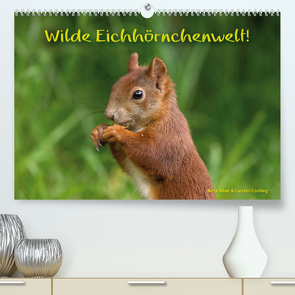 Wilde Eichhörnchenwelt! (Premium, hochwertiger DIN A2 Wandkalender 2023, Kunstdruck in Hochglanz) von Alber und Carsten Cording,  Birte