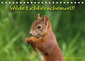 Wilde Eichhörnchenwelt! (Tischkalender 2022 DIN A5 quer) von Alber und Carsten Cording,  Birte