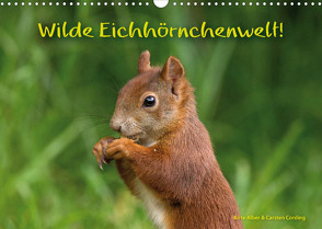 Wilde Eichhörnchenwelt! (Wandkalender 2022 DIN A3 quer) von Alber und Carsten Cording,  Birte