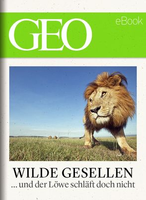 Wilde Gesellen: 13 Expeditionen in die Welt der Tiere (GEO eBook)