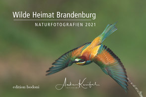 Brandenburger Natur – Kalender 2021 von Johne,  Marc, Kneifel,  Anke