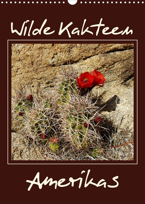 Wilde Kakteen Amerikas (Wandkalender 2022 DIN A3 hoch) von Thiem-Eberitsch,  Jana