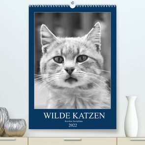 Wilde Katzen – Korsikas Samtpfoten (Premium, hochwertiger DIN A2 Wandkalender 2022, Kunstdruck in Hochglanz) von Schimmack,  Claudia