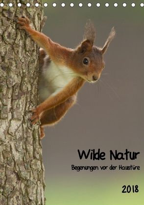 Wilde Natur – Begegnungen vor der Haustüre (Tischkalender 2018 DIN A5 hoch) von Segelcke Uwe Hilsmann,  Daniel