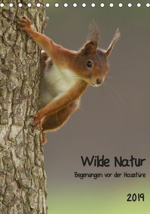 Wilde Natur – Begegnungen vor der Haustüre (Tischkalender 2019 DIN A5 hoch) von Segelcke Uwe Hilsmann,  Daniel