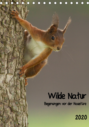 Wilde Natur – Begegnungen vor der Haustüre (Tischkalender 2020 DIN A5 hoch) von Segelcke Uwe Hilsmann,  Daniel