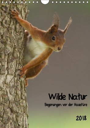 Wilde Natur – Begegnungen vor der Haustüre (Wandkalender 2018 DIN A4 hoch) von Segelcke Uwe Hilsmann,  Daniel