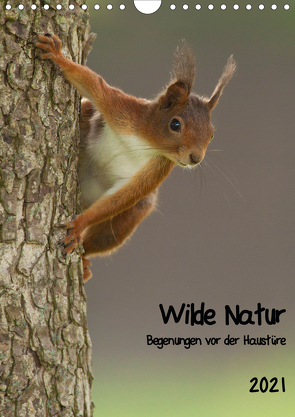 Wilde Natur – Begegnungen vor der Haustüre (Wandkalender 2021 DIN A4 hoch) von Segelcke Uwe Hilsmann,  Daniel