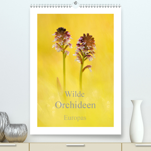 Wilde Orchideen Europas (Premium, hochwertiger DIN A2 Wandkalender 2021, Kunstdruck in Hochglanz) von Kraschl,  Marion