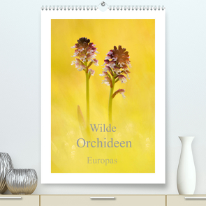 Wilde Orchideen Europas (Premium, hochwertiger DIN A2 Wandkalender 2022, Kunstdruck in Hochglanz) von Kraschl,  Marion