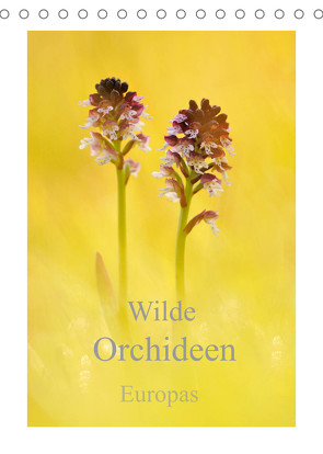 Wilde Orchideen Europas (Tischkalender 2022 DIN A5 hoch) von Kraschl,  Marion