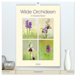 Wilde Orchideen in Deutschland 2024 (hochwertiger Premium Wandkalender 2024 DIN A2 hoch), Kunstdruck in Hochglanz von Beyer (Moqui),  Daniela