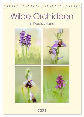 Wilde Orchideen in Deutschland 2024 (Tischkalender 2024 DIN A5 hoch), CALVENDO Monatskalender von Beyer (Moqui),  Daniela