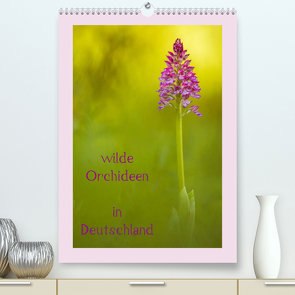 wilde Orchideen in Deutschland (Premium, hochwertiger DIN A2 Wandkalender 2022, Kunstdruck in Hochglanz) von Beyer (Moqui),  Daniela