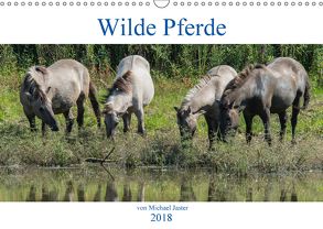 Wilde Pferde von Michael Jaster (Wandkalender 2018 DIN A3 quer) von N.,  N.