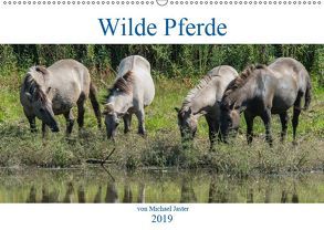 Wilde Pferde von Michael Jaster (Wandkalender 2019 DIN A2 quer) von N.,  N.