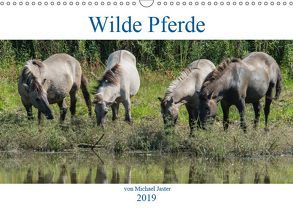 Wilde Pferde von Michael Jaster (Wandkalender 2019 DIN A3 quer) von N.,  N.