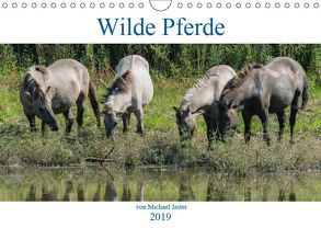 Wilde Pferde von Michael Jaster (Wandkalender 2019 DIN A4 quer) von N.,  N.