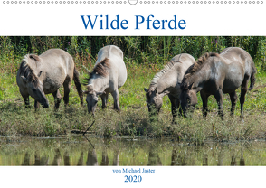 Wilde Pferde von Michael Jaster (Wandkalender 2020 DIN A2 quer) von N.,  N.