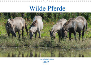 Wilde Pferde von Michael Jaster (Wandkalender 2022 DIN A3 quer) von N.,  N.