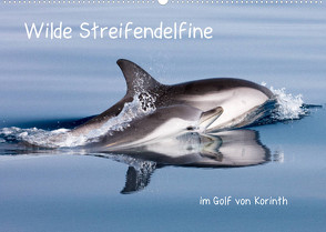 Wilde Streifendelfine im Golf von Korinth (Wandkalender 2023 DIN A2 quer) von Bouillon,  Jörg