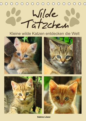 Wilde Tätzchen – Kleine wilde Katzen entdecken die Welt (Tischkalender 2022 DIN A5 hoch) von Löwer,  Sabine