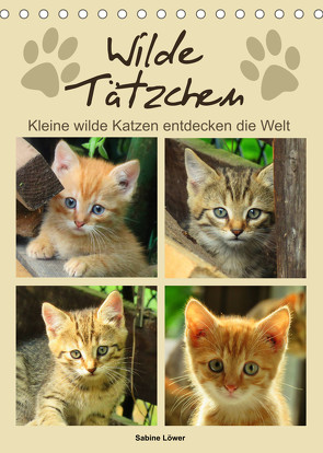 Wilde Tätzchen, kleine wilde Katzen entdecken die Welt (Tischkalender 2023 DIN A5 hoch) von Löwer,  Sabine