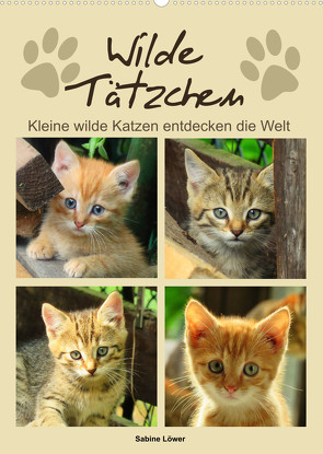 Wilde Tätzchen, kleine wilde Katzen entdecken die Welt (Wandkalender 2023 DIN A2 hoch) von Löwer,  Sabine