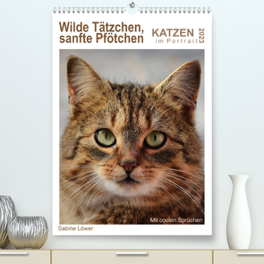 Wilde Tätzchen, sanfte Pfötchen (Premium, hochwertiger DIN A2 Wandkalender 2023, Kunstdruck in Hochglanz) von Löwer,  Sabine