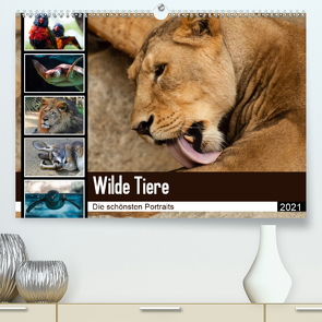 Wilde Tiere – Die schönsten Portraits (Premium, hochwertiger DIN A2 Wandkalender 2021, Kunstdruck in Hochglanz) von Enderlein - Bethari Bengals,  Sylke