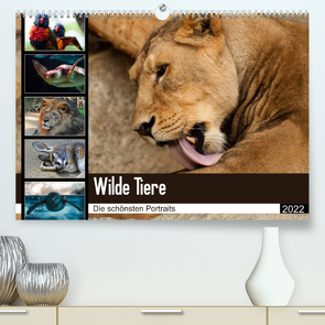Wilde Tiere – Die schönsten Portraits (Premium, hochwertiger DIN A2 Wandkalender 2022, Kunstdruck in Hochglanz) von Enderlein - Bethari Bengals,  Sylke