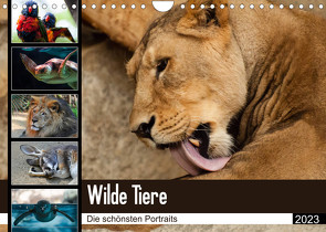Wilde Tiere – Die schönsten Portraits (Wandkalender 2023 DIN A4 quer) von Enderlein - Bethari Bengals,  Sylke
