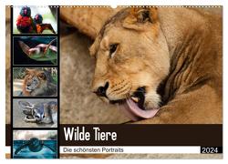 Wilde Tiere – Die schönsten Portraits (Wandkalender 2024 DIN A2 quer), CALVENDO Monatskalender von Enderlein - Bethari Bengals,  Sylke